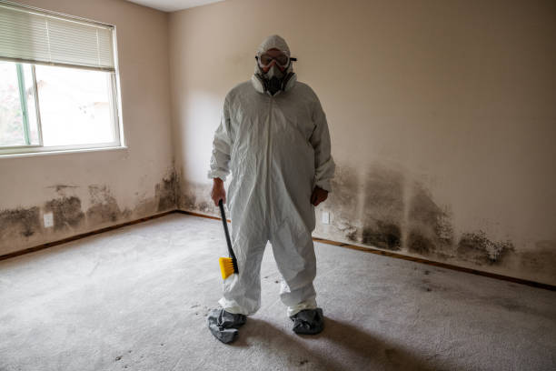 Best Mold Removal for HVAC Installations  in Thomas, OK